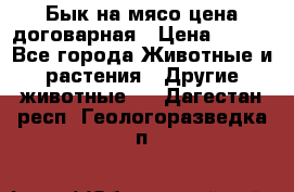 Бык на мясо цена договарная › Цена ­ 300 - Все города Животные и растения » Другие животные   . Дагестан респ.,Геологоразведка п.